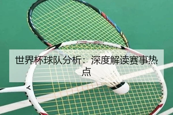 世界杯球队分析：深度解读赛事热点
