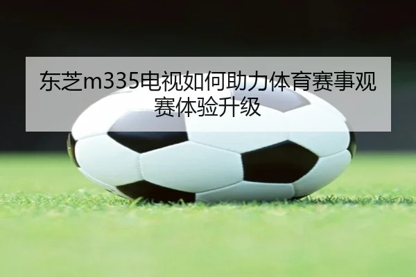 东芝m335电视如何助力体育赛事观赛体验升级