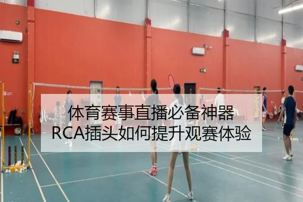 体育赛事直播必备神器 RCA插头如何提升观赛体验