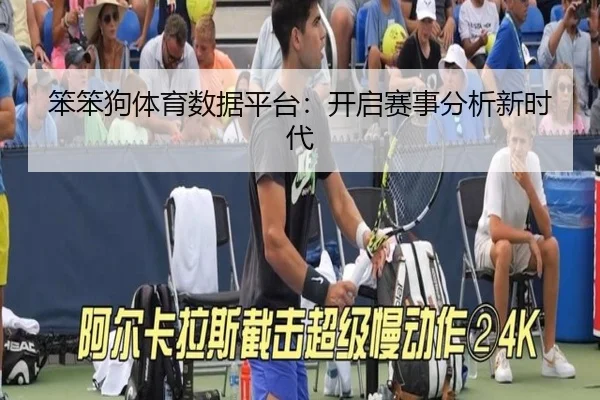 笨笨狗体育数据平台：开启赛事分析新时代